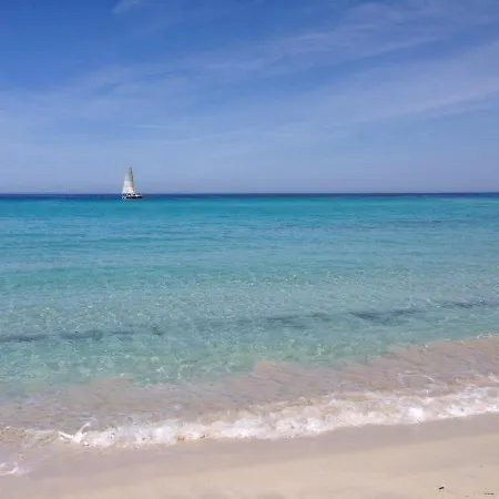 Proche Saint-florent Piscine